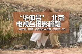 ‘华体会’
北京电视台摄影棚融入5D沉醉式显示屏项目(图4) 华体会官方首页