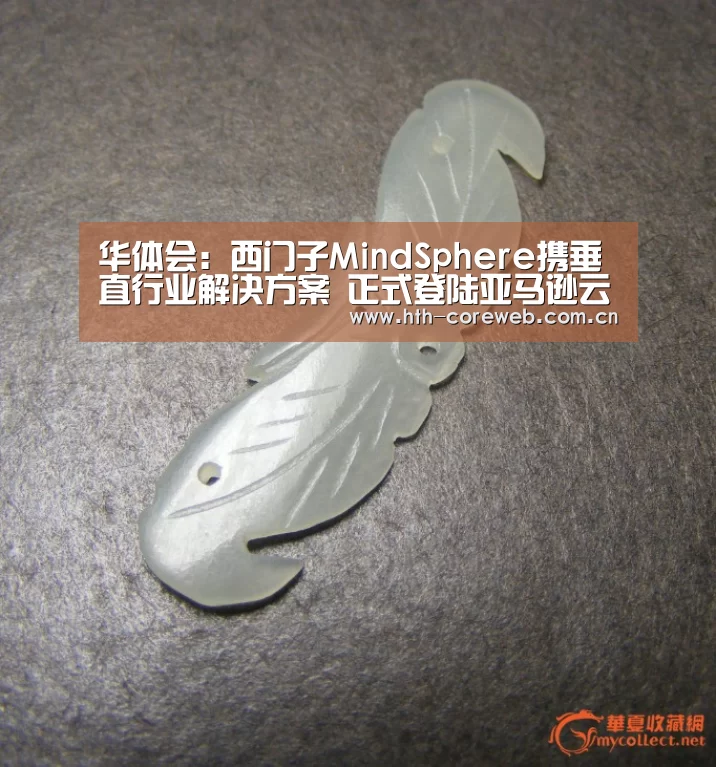 华体会:西门子MindSphere携垂直行业解决方案 正式登陆亚马逊云服务(AWS)(图4) 华体会