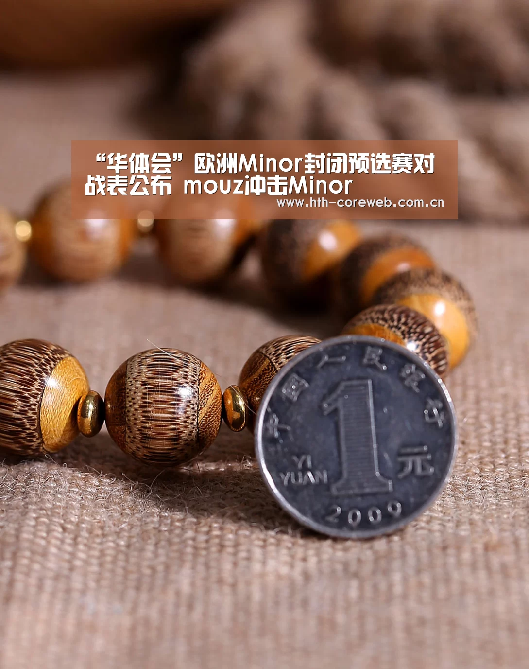 “华体会”欧洲Minor封闭预选赛对战表公布 mouz冲击Minor(图3)