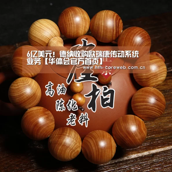 6亿美元!德纳收购欧瑞康传动系统业务【华体会官方首页】(图1) 华体会