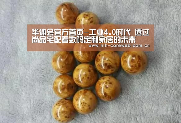 华体会